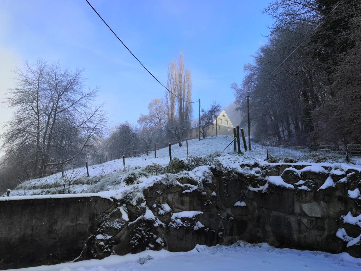 Gite Henry Orbey Esterno foto