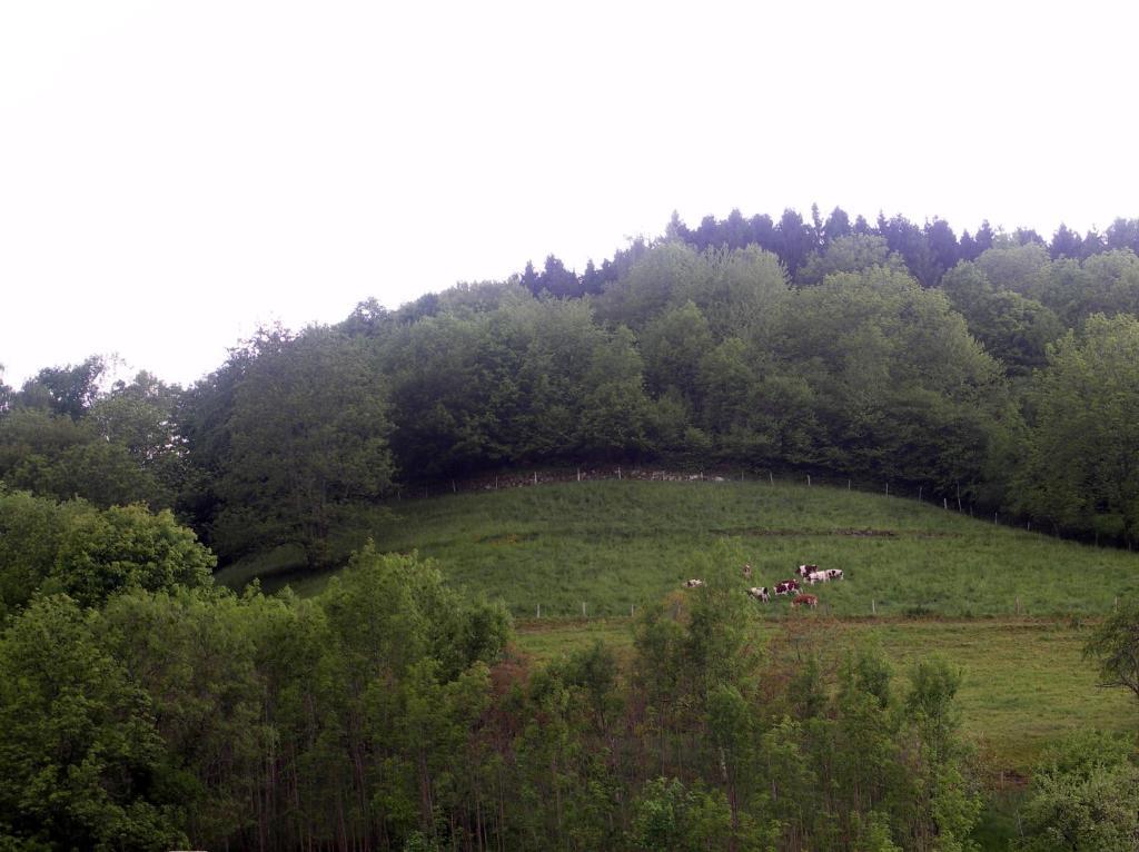 Gite Henry Orbey Esterno foto